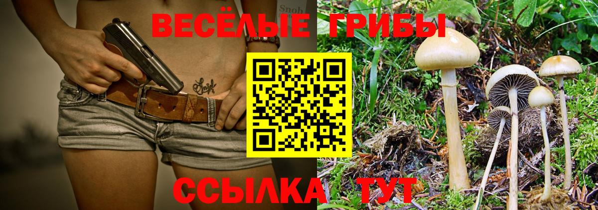 Галлюциногенные грибы прущие грибы Всеволожск